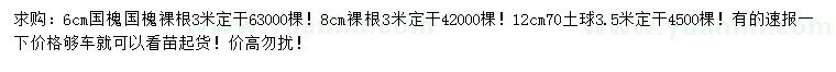 求購6、8、12公分國槐