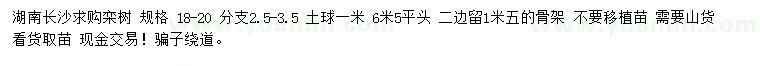 求購18-20公分欒樹