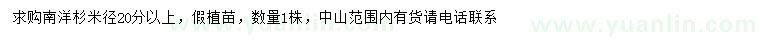 求購(gòu)米徑20公分以上南洋杉