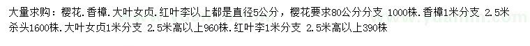 求購櫻花、香樟、大葉女貞等