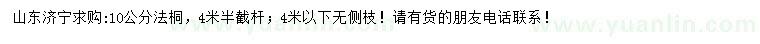 求購10公分法桐
