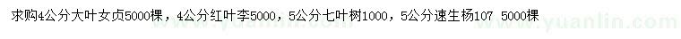 求購大葉女貞、紅葉李、七葉樹等