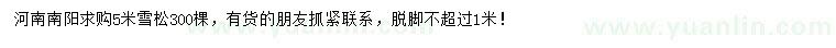 求購5米雪松