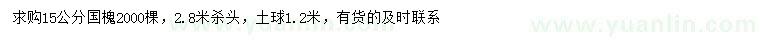 求購15公分國槐
