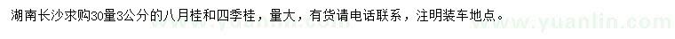求購(gòu)30量3公分八月桂、四季桂