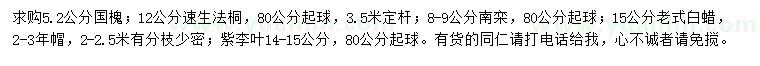 求購國槐、速生法桐、南欒等