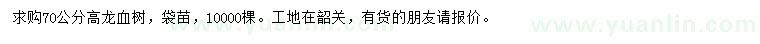 求購高70公分龍血樹