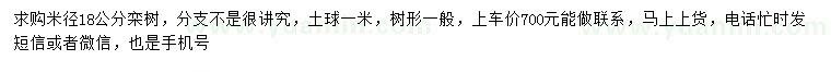求購(gòu)米徑18公分欒樹