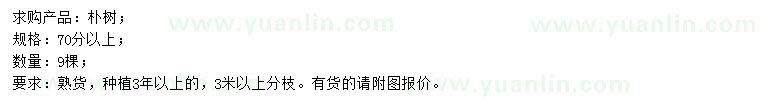 求購(gòu)70分以上樸樹(shù)