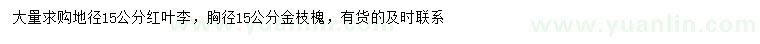 求購地徑15公分紅葉李、胸徑15公分金枝槐