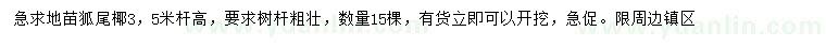 求購(gòu)高3.5米狐尾椰