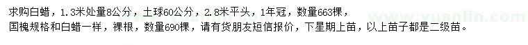 求購1.3米量8公分白蠟、國槐