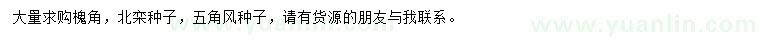 求購(gòu)槐角種子、北欒種子、五角風(fēng)種子