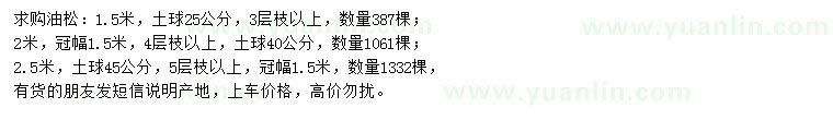 求購1.5、2、2.5米油松