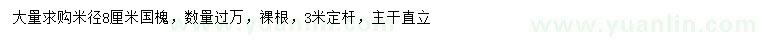 求購(gòu)米徑8公分國(guó)槐