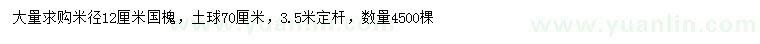 求購米徑12公分國槐