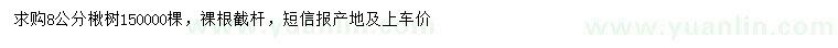 求購8公分楸樹