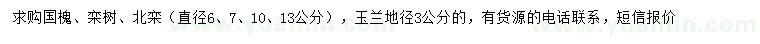 求購國槐、欒樹、北欒等