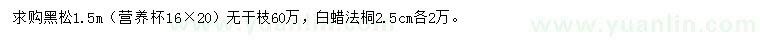 求購(gòu)黑松、白蠟、法桐