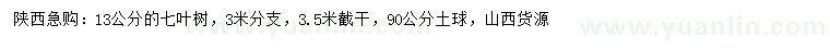 求購(gòu)13公分七葉樹