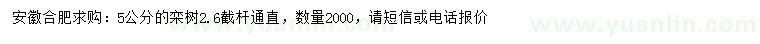 求購5公分欒樹