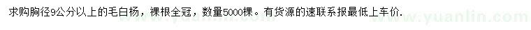 求購胸徑9公分以上毛白楊