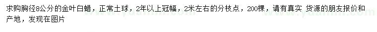 求購(gòu)胸徑8公分金葉白蠟