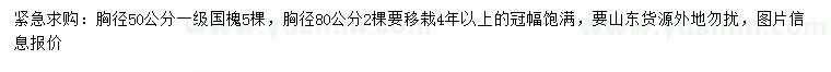 求購(gòu)胸徑50、80公分國(guó)槐