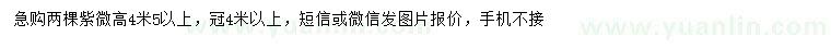 求購高4.5米以上紫薇