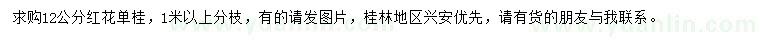 求購(gòu)12公分紅花單桂