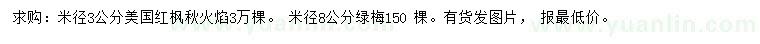 求購米徑3公分美國紅楓秋火焰、米徑8公分綠梅
