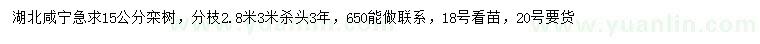 求購15公分欒樹
