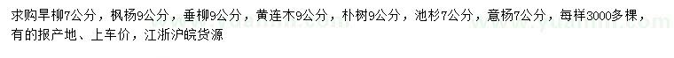 求購旱柳、楓楊、垂柳等