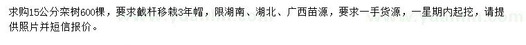 求購15公分欒樹