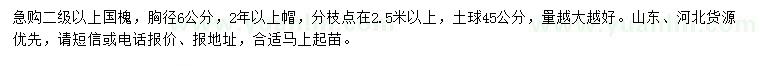 求購胸徑6公分國槐