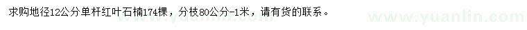 求購地徑12公分單桿紅葉石楠