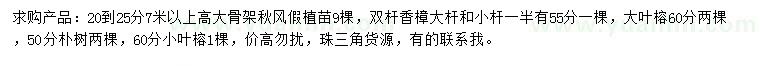求購秋楓、香樟、大葉榕等