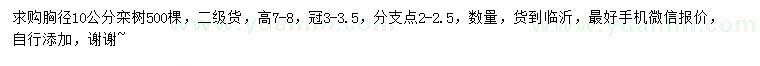 求購胸徑10公分欒樹