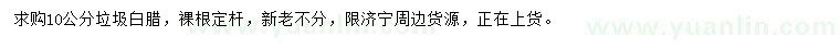 求購10公分垃圾白臘