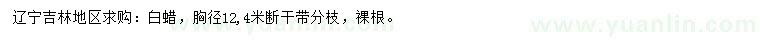 求購胸徑12公分白蠟