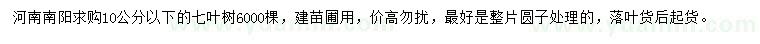 求購10公分以下七葉樹