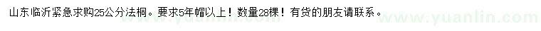 求購25公分法桐