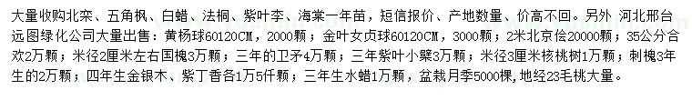 求購北欒、五角楓、白蠟等