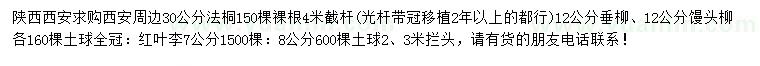 求購法桐、垂柳、饅頭柳