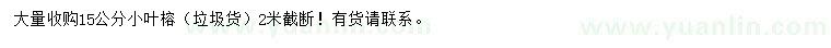 求購(gòu)15公分小葉榕