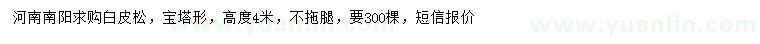 求購高4米白皮松