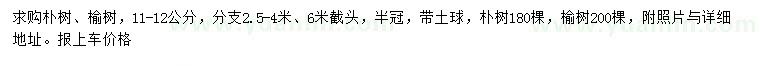 求購11-12公分樸樹、榆樹