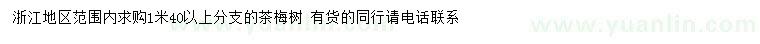 求購1.4米以上茶梅樹 