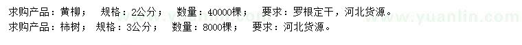 求購2公分黃柳、3公分柿樹