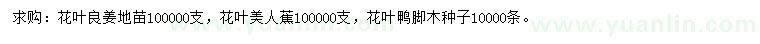 求購花葉良姜、花葉美人蕉、花葉鴨腳木種子